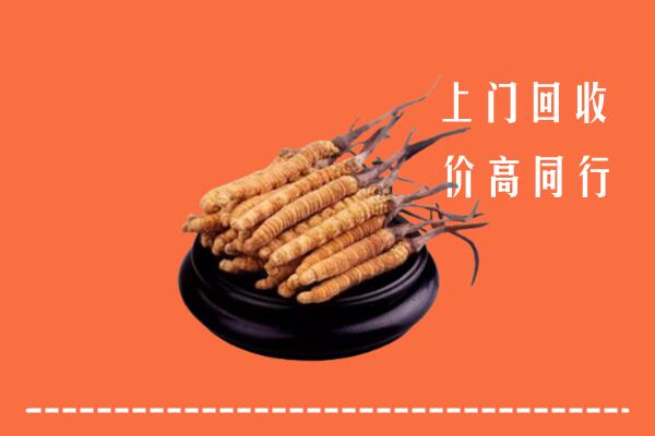 高价求购：揭阳榕城回收散虫草