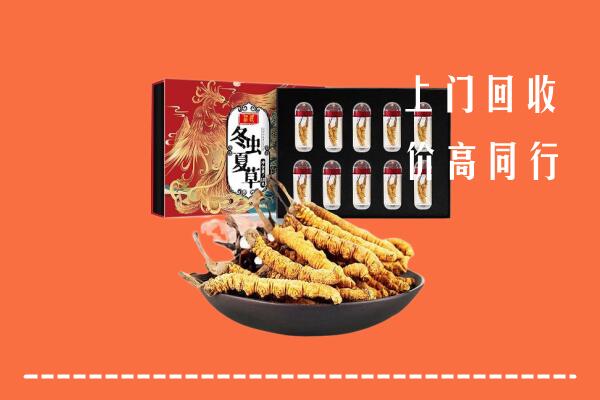 揭阳榕城回收虫草
